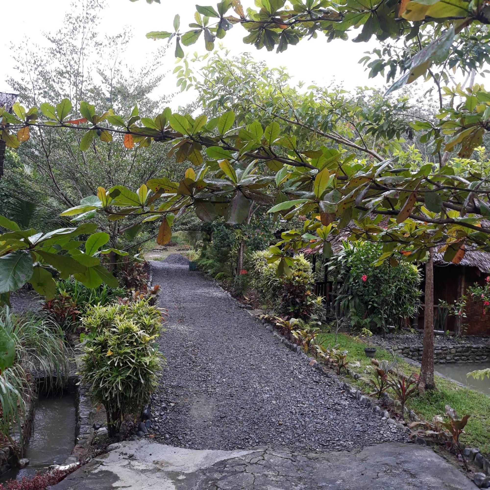 Magpie resto dan homestay Bukit Lawang Habitación foto