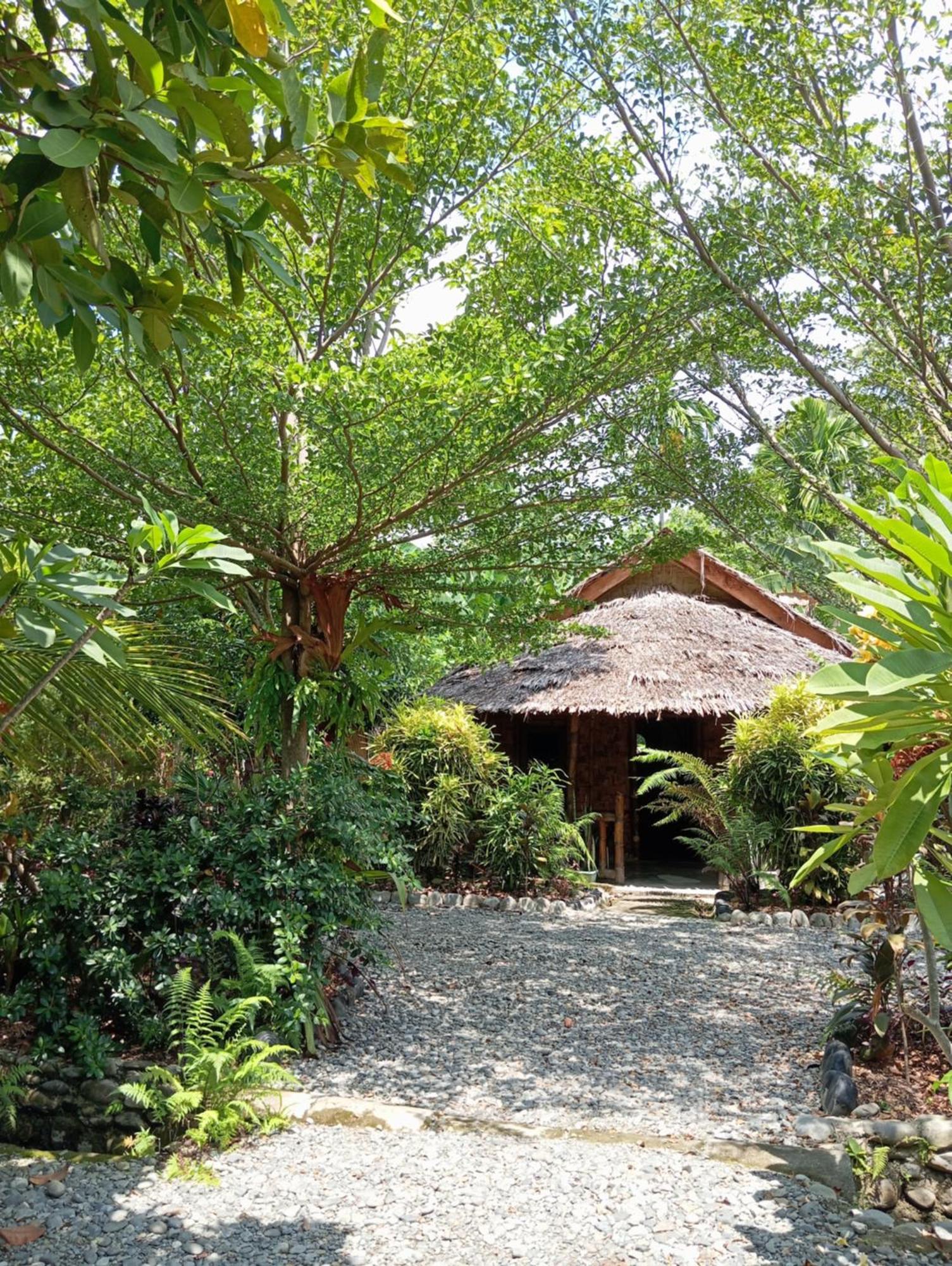 Magpie resto dan homestay Bukit Lawang Exterior foto