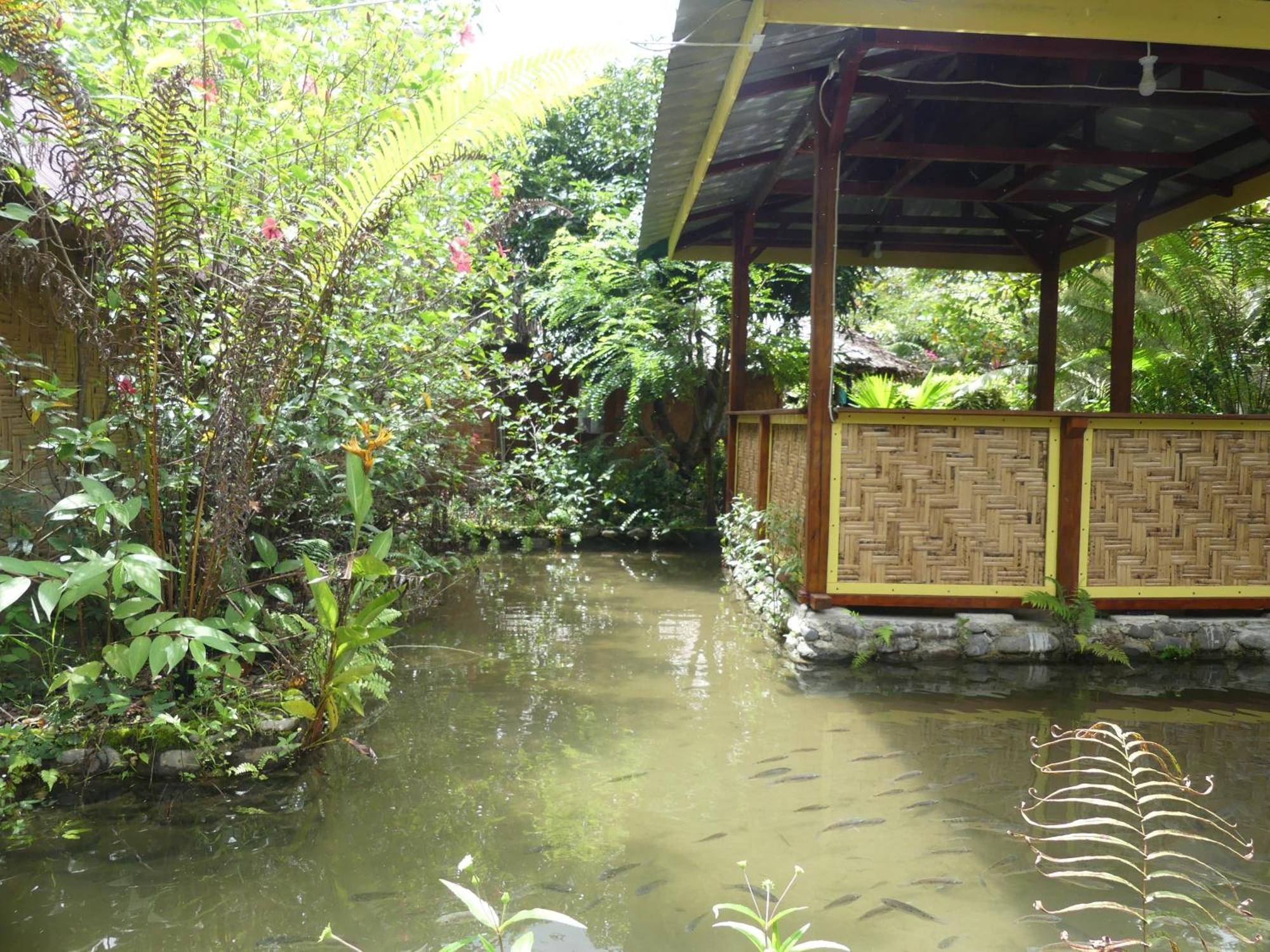 Magpie resto dan homestay Bukit Lawang Habitación foto