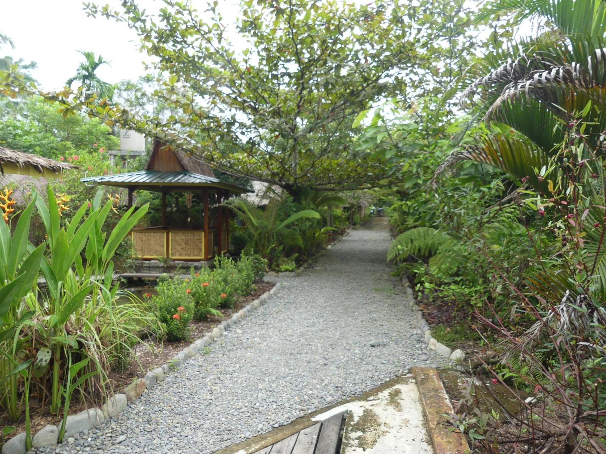 Magpie resto dan homestay Bukit Lawang Habitación foto